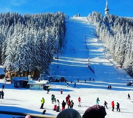 делукс апартамент в манастира 3 *