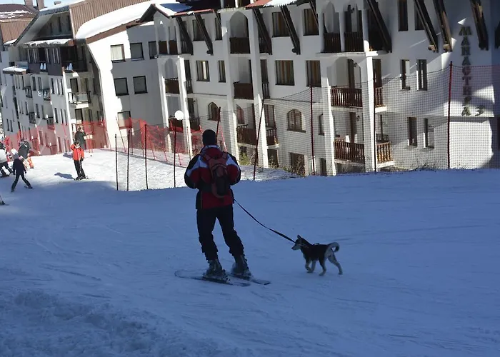 Deluxe Monastery 3 * パンポロボ